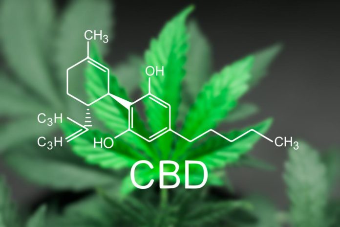 cbd-is-one-of-the-compounds-in-marijuana