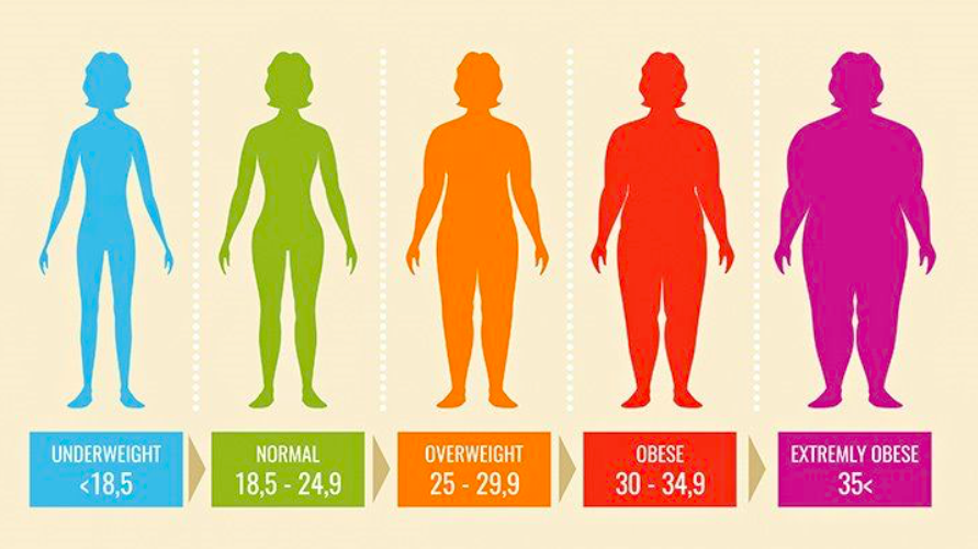 healthy body fat percentage